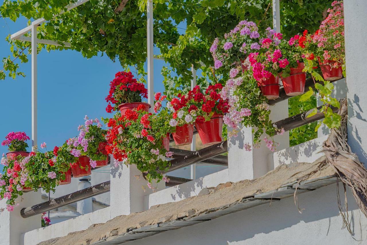Apartamentos Rurales Las Chimeneas Capileira Εξωτερικό φωτογραφία