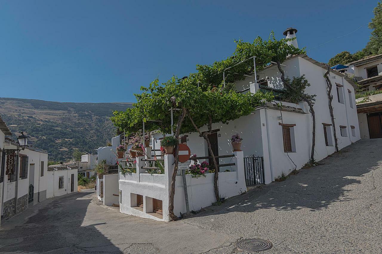 Apartamentos Rurales Las Chimeneas Capileira Εξωτερικό φωτογραφία